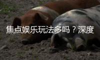 焦点娱乐玩法多吗？深度解析其丰富游戏种类与特色