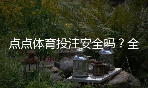 点点体育投注安全吗?全面安全性评估、风险提示与用户口碑分析
