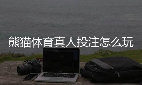 熊猫体育真人投注怎么玩?新手入门、玩法规则与实用投注技巧