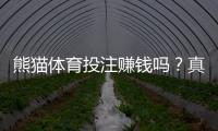 熊猫体育投注赚钱吗？真实体验、盈利能力与风险全解析