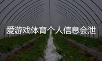 爱游戏体育个人信息会泄漏吗？隐私风险解析、官方政策与防护攻略