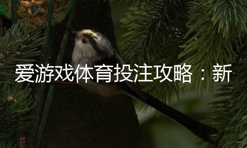爱游戏体育投注攻略:新手入门、热门玩法详解与实战投注技巧