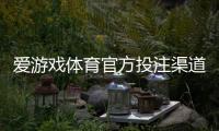 爱游戏体育官方投注渠道怎么找？正规入口识别与安全登录充值完整指南