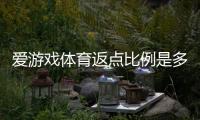 爱游戏体育返点比例是多少？最新返点规则与计算方法详解