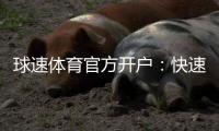 球速体育官方开户：快速注册指南与独家优惠活动