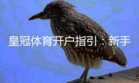 皇冠体育开户指引：新手注册流程、实名认证与常见问题速查