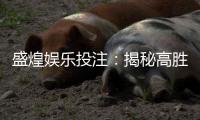 盛煌娱乐投注：揭秘高胜率玩家的投注技巧与实战心得