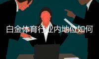 白金体育行业内地位如何：挑战与机遇