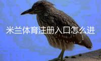 米兰体育注册入口怎么进？官方注册步骤、新手实名认证与常见问题详解