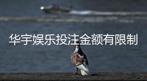 华宇娱乐投注金额有限制吗？详细解析平台充值规则与上限