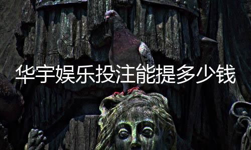 华宇娱乐投注能提多少钱？揭秘提款规则与到账时间