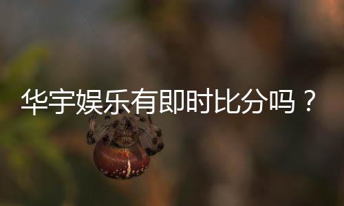 华宇娱乐有即时比分吗?全面解析比分功能与投注技巧