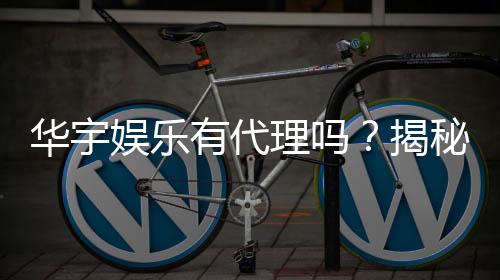 华宇娱乐有代理吗？揭秘代理加盟条件与流程