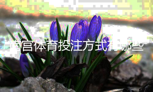 南宫体育投注方式有哪些?线上线下、手机APP与实体店投注全攻略