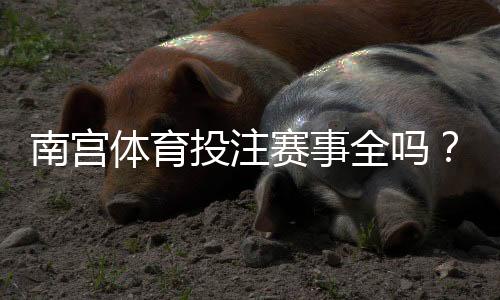 南宫体育投注赛事全吗？赛事覆盖、更新频率与投注种类全面解析