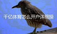 千亿体育怎么开户详细操作步骤