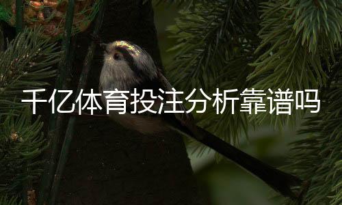 千亿体育投注分析靠谱吗？技术解析
