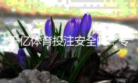 千亿体育投注安全吗：专业评测揭秘