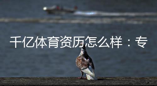 千亿体育资历怎么样：专业评测揭秘