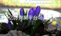 千亿体育黑平台吗？揭秘真相