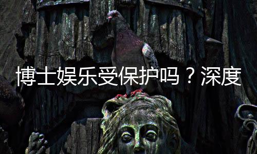 博士娱乐受保护吗？深度解析其安全性与玩家保障措施