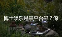 博士娱乐是黑平台吗？深度解析平台安全性与玩家真实体验