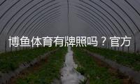 博鱼体育有牌照吗？官方资质真伪核查与安全性评估