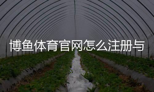 博鱼体育官网怎么注册与登录?官网入口、充值提现与优惠活动完整指南