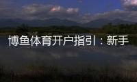 博鱼体育开户指引：新手注册流程、验证步骤与常见问题详解
