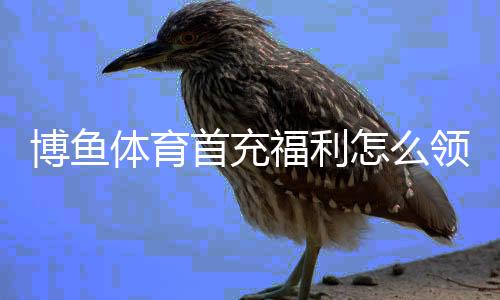 博鱼体育首充福利怎么领？最新领取攻略、优惠规则与注意事项