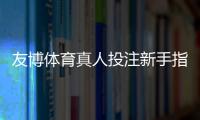 友博体育真人投注新手指南：玩法规则、投注技巧与安全注意事项