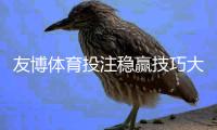 友博体育投注稳赢技巧大全：新手实战策略、盘口分析与避坑指南