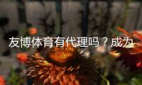 友博体育有代理吗？成为代理的条件、流程与收益全面解析