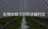 友博体育注册即送福利攻略：新手领取步骤、优惠说明与注意事项