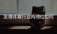 友博体育行业内地位如何？市场表现、竞争优势与用户口碑全面解析
