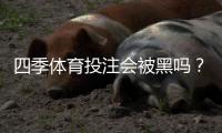 四季体育投注会被黑吗？平台安全性真实分析与用户防护指南