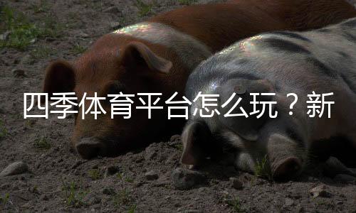 四季体育平台怎么玩？新手注册、充值、投注与安全指南