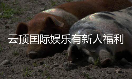 云顶国际娱乐有新人福利吗？新会员注册即享多重豪礼！