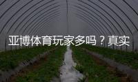 亚博体育玩家多吗？真实用户量与平台人气全面解析