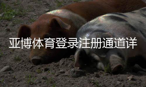 亚博体育登录注册通道详解：新手注册步骤、安全登录与常见问题解决