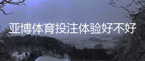 亚博体育投注体验好不好?2026真实用户评测与优缺点全面解析