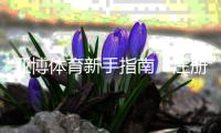 亚博体育新手指南：注册、充值、投注与安全玩法全攻略