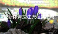 亚新体育投注流程复杂吗？新手从注册到提现全流程图文详解