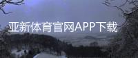 亚新体育官网APP下载与使用教程：新手注册、充值、投注与安全性全面解析