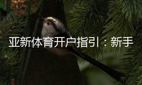 亚新体育开户指引：新手注册流程、实名认证与常见问题全攻略
