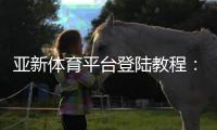 亚新体育平台登陆教程：手机与电脑版详细步骤、新手注册与账号安全全攻略