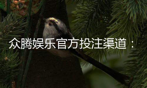 众腾娱乐官方投注渠道：安全可靠的娱乐平台首选