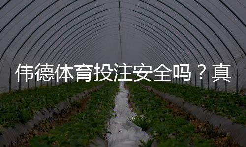 伟德体育投注安全吗？真实评测：平台信誉、存提款与防骗指南