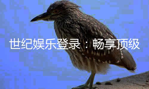 世纪娱乐登录：畅享顶级棋牌电游的尊贵体验
