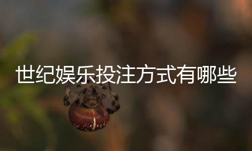 世纪娱乐投注方式有哪些？全面解析主流玩法与技巧